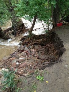 Creek-side foot path destroyed.